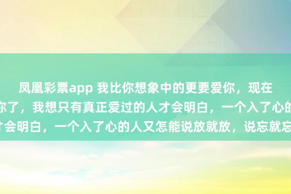 凤凰彩票app 我比你想象中的更要爱你，现在我要说服自己不去打扰你了，我想只有真正爱过的人才会明白，一个入了心的人又怎能说放就放，说忘就忘呢？