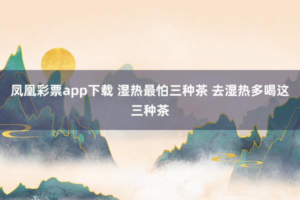 凤凰彩票app下载 湿热最怕三种茶 去湿热多喝这三种茶