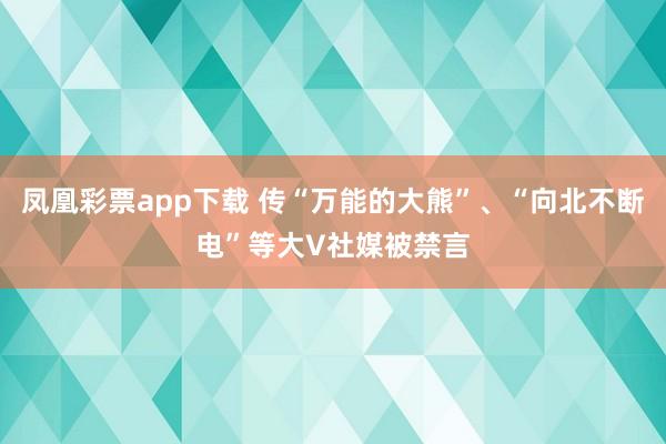 凤凰彩票app下载 传“万能的大熊”、“向北不断电”等大V社媒被禁言