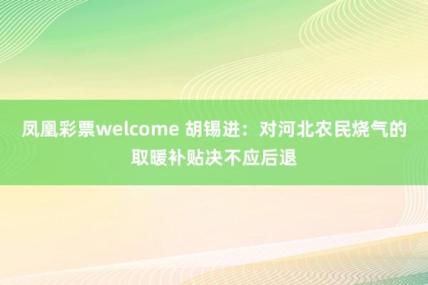 凤凰彩票welcome 胡锡进：对河北农民烧气的取暖补贴决不应后退