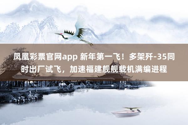 凤凰彩票官网app 新年第一飞！多架歼-35同时出厂试飞，加速福建舰舰载机满编进程