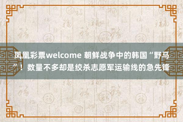 凤凰彩票welcome 朝鲜战争中的韩国“野马”！数量不多却是绞杀志愿军运输线的急先锋
