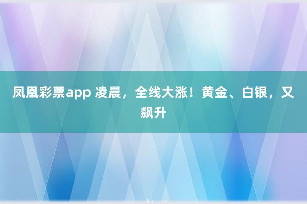 凤凰彩票app 凌晨，全线大涨！黄金、白银，又飙升