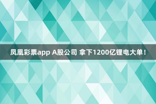 凤凰彩票app A股公司 拿下1200亿锂电大单！