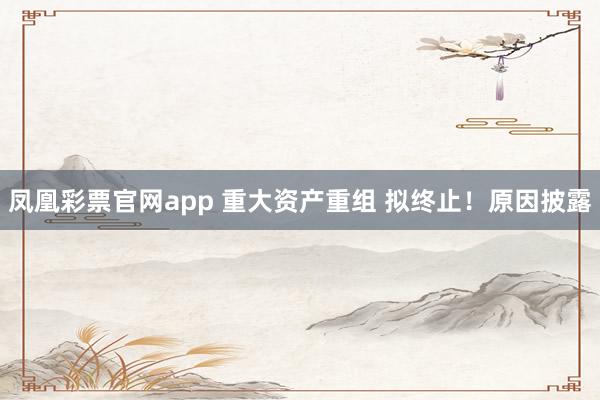 凤凰彩票官网app 重大资产重组 拟终止！原因披露