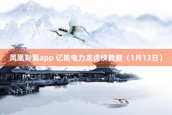 凤凰彩票app 亿能电力龙虎榜数据（1月13日）