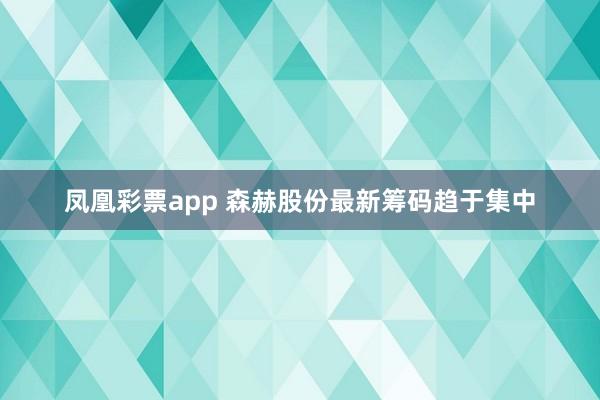 凤凰彩票app 森赫股份最新筹码趋于集中