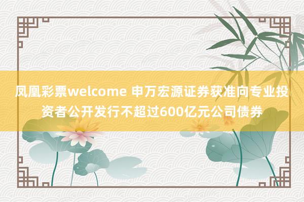 凤凰彩票welcome 申万宏源证券获准向专业投资者公开发行不超过600亿元公司债券