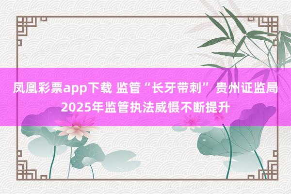 凤凰彩票app下载 监管“长牙带刺” 贵州证监局2025年监管执法威慑不断提升