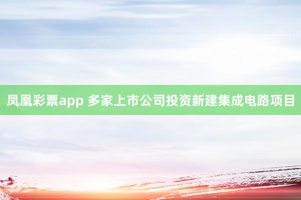 凤凰彩票app 多家上市公司投资新建集成电路项目