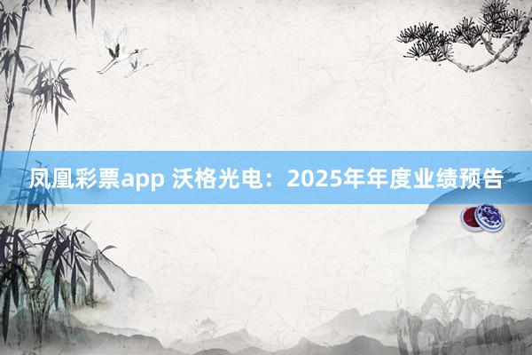 凤凰彩票app 沃格光电：2025年年度业绩预告