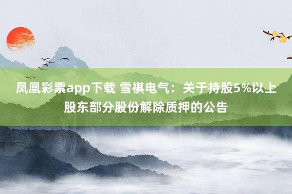 凤凰彩票app下载 雪祺电气：关于持股5%以上股东部分股份解除质押的公告