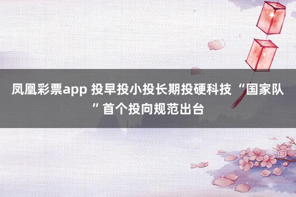 凤凰彩票app 投早投小投长期投硬科技 “国家队”首个投向规范出台