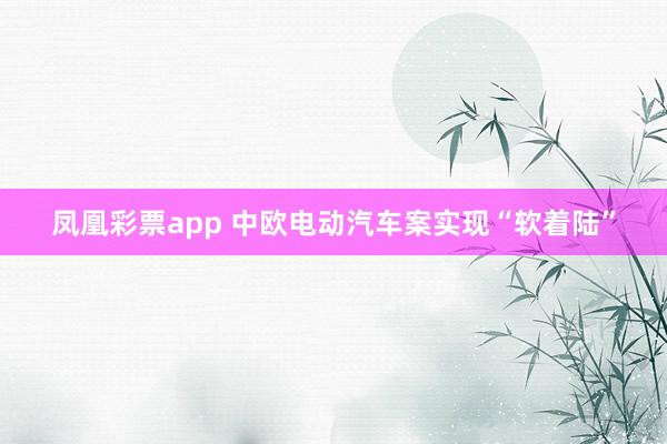 凤凰彩票app 中欧电动汽车案实现“软着陆”