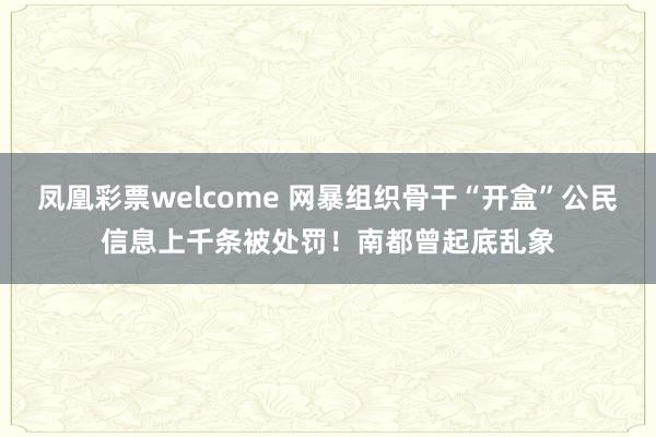 凤凰彩票welcome 网暴组织骨干“开盒”公民信息上千条被处罚！南都曾起底乱象