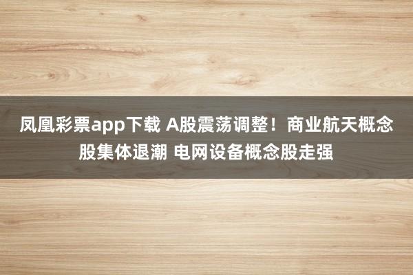 凤凰彩票app下载 A股震荡调整！商业航天概念股集体退潮 电网设备概念股走强