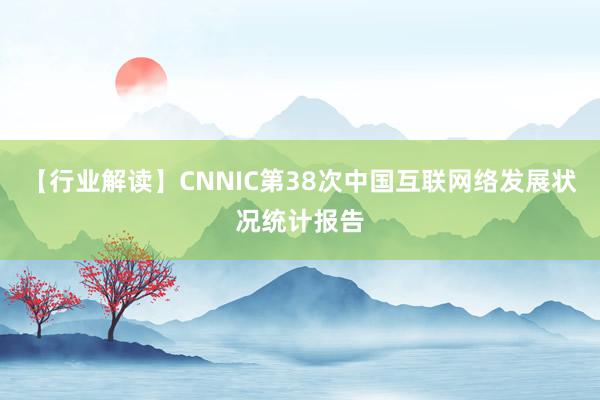 【行业解读】CNNIC第38次中国互联网络发展状况统计报告