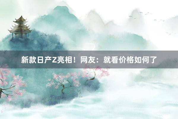 新款日产Z亮相！网友：就看价格如何了