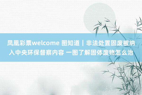 凤凰彩票welcome 图知道｜非法处置固废被纳入中央环保督察内容 一图了解固体废物怎么治