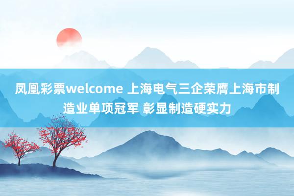 凤凰彩票welcome 上海电气三企荣膺上海市制造业单项冠军 彰显制造硬实力