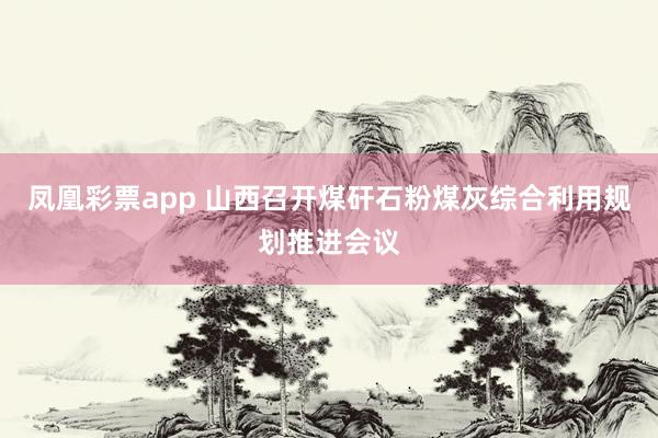凤凰彩票app 山西召开煤矸石粉煤灰综合利用规划推进会议