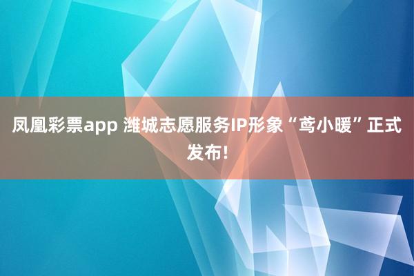 凤凰彩票app 潍城志愿服务IP形象“鸢小暖”正式发布!