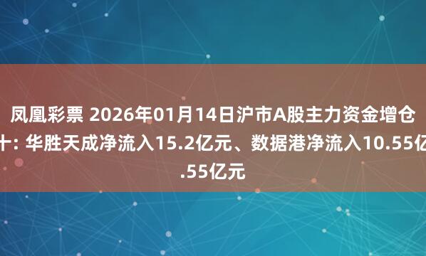 凤凰彩票 2026年01月14日沪市A股主力资金增仓前十: 华胜天成净流入15.2亿元、数据港净流入10.55亿元