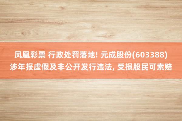 凤凰彩票 行政处罚落地! 元成股份(603388)涉年报虚假及非公开发行违法, 受损股民可索赔