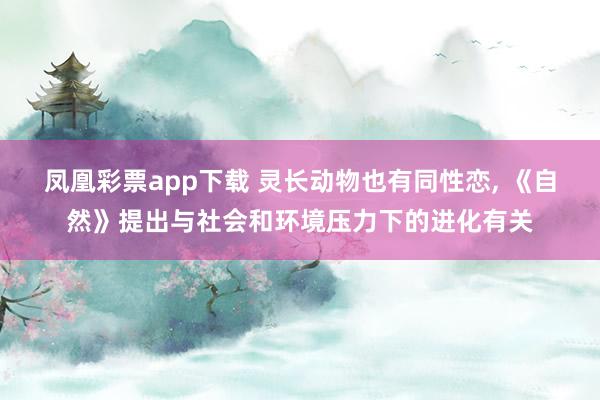 凤凰彩票app下载 灵长动物也有同性恋, 《自然》提出与社会和环境压力下的进化有关