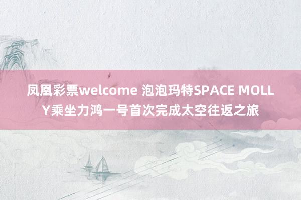 凤凰彩票welcome 泡泡玛特SPACE MOLLY乘坐力鸿一号首次完成太空往返之旅