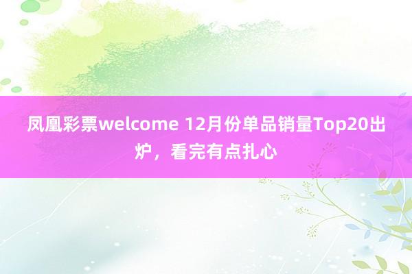 凤凰彩票welcome 12月份单品销量Top20出炉,看完有点扎心