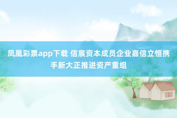 凤凰彩票app下载 信宸资本成员企业嘉信立恒携手新大正推进资产重组