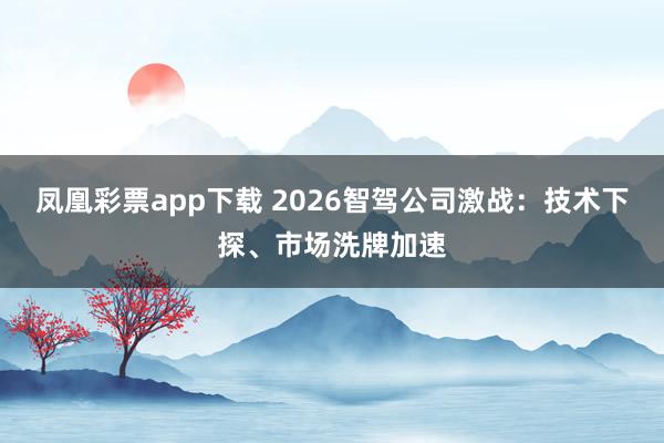 凤凰彩票app下载 2026智驾公司激战:技术下探、市场洗牌加速