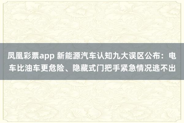 凤凰彩票app 新能源汽车认知九大误区公布：电车比油车更危险、隐藏式门把手紧急情况逃不出