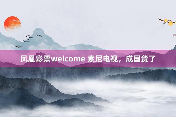 凤凰彩票welcome 索尼电视,成国货了