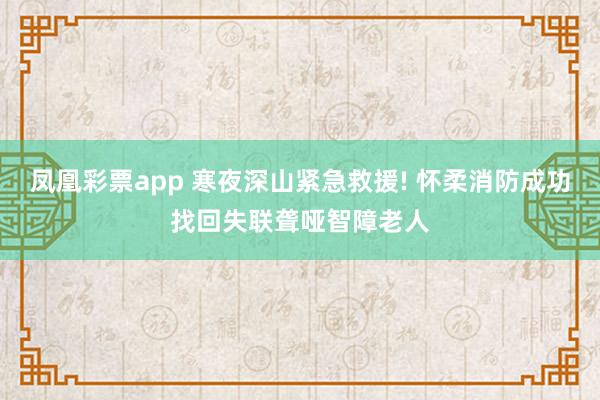 凤凰彩票app 寒夜深山紧急救援! 怀柔消防成功找回失联聋哑智障老人