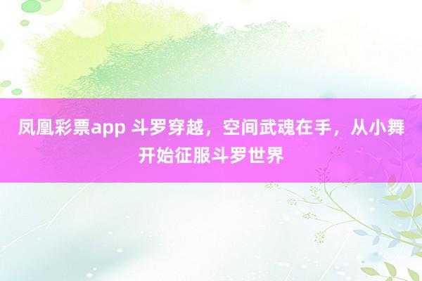 凤凰彩票app 斗罗穿越,空间武魂在手,从小舞开始征服斗罗世界