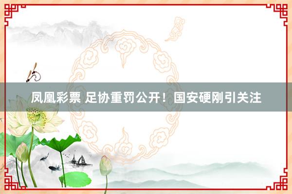 凤凰彩票 足协重罚公开!国安硬刚引关注