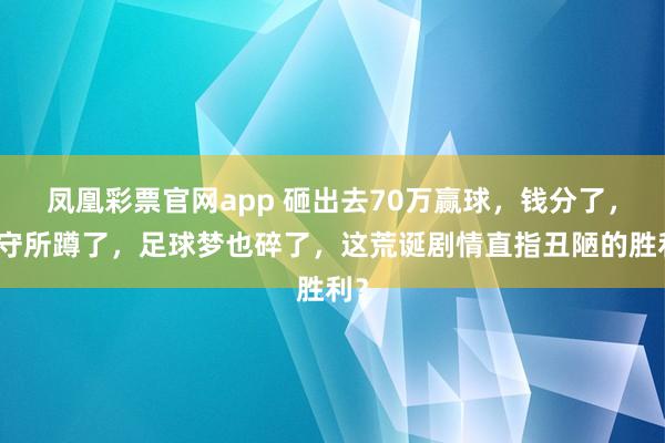 凤凰彩票官网app 砸出去70万赢球，钱分了，看守所蹲了，足球梦也碎了，这荒诞剧情直指丑陋的胜利？