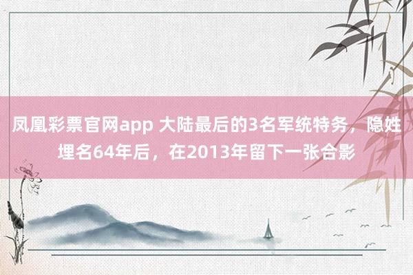 凤凰彩票官网app 大陆最后的3名军统特务,隐姓埋名64年后,在2013年留下一张合影