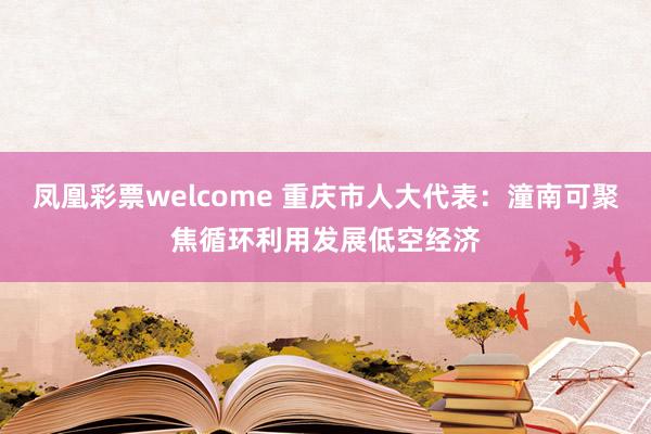 凤凰彩票welcome 重庆市人大代表:潼南可聚焦循环利用发展低空经济