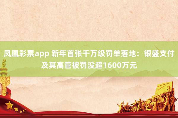 凤凰彩票app 新年首张千万级罚单落地:银盛支付及其高管被罚没超1600万元