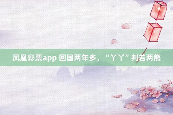 凤凰彩票app 回国两年多，“丫丫”判若两熊