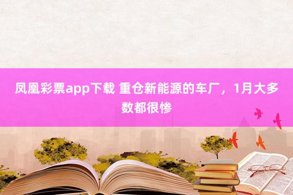 凤凰彩票app下载 重仓新能源的车厂，1月大多数都很惨